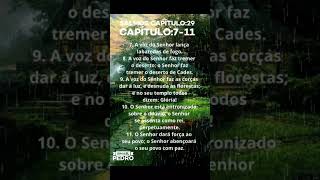 SALMOS C:29 V:1-11 LOUVAI A MAJESTADE DE DEUS #palavra_do_pai_todo_poderoso #jesus #deus #religião