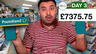 £7375.75 Profit From1 Item from Poundland to eBay