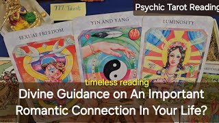 Divine Guidance on An Important Romantic Connection In Your Life? Psychic Tarot Reading 🔮  timeless