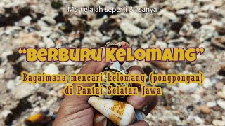 Tips Mencari Kelomang Laut di Pantai