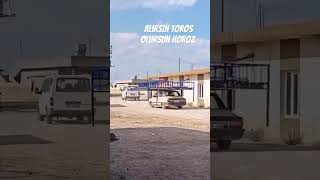 Alırsın Toros olursun Horoz