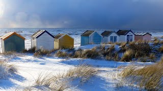 Windy Winter Ambience in Cape Cod | Ocean, Beach, Snow | White Noise | 12 Hours