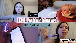 100 ДНЕЙ МОЕЙ ПРОДУКТИВНОСТИ 🔥 Будни БЛОГЕРА и домашний бургер 🐷