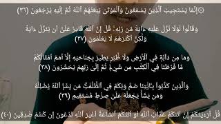 DAY 7 RAMADHAN (3) | (Juz 7) Al-An'am Ayat 36-73 (m/s 132-136)