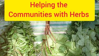 Helping the communities with Herbs