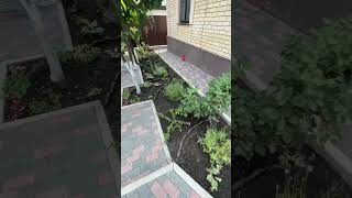 Красивая перепланировка участка #garden #Stavropol#26rus