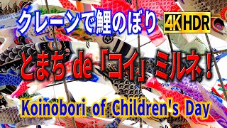 クレーンで鯉のぼり ～とまち de「コイ」ミルネ！～