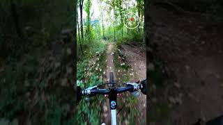 Jump Line MTB #shorts