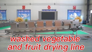 washed fruit and vegetable drying line|fried food cooling line|washed french fries dryer |food dryer