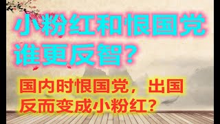 小粉红和恨国党谁的行为更反智?有的人在国内是恨国党,为何出国反而变成小粉红?中国是没有共产党才会好?还是只有共产党才会好?(两韩看两岸20.09.20)