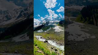 Bich Safar Me Kahi Mera Sath Chhod Ke | Dil Laga Liya Maine | Nature of Beauty #shorts #nature