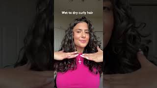 Wet to dry curly hair transition | #shorts #curlyhair