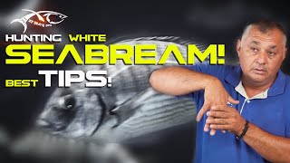 White Seabream hunting tips!!!