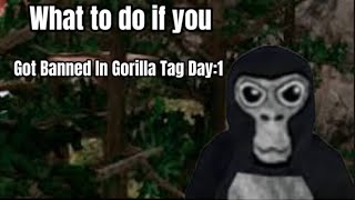 Getting Banned In Gorilla Tag Day 1: