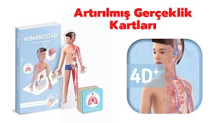 Humanoid 4D+ Octagon Studio - ARTIRILMIŞ GERÇEKLİK Kartları