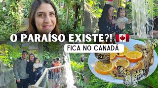 Cambridge Butterfly Conservatory | Conservatório de borboletas no Canadá #vlog #turismo #dicas