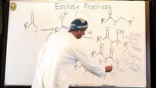 Enolate Reactions