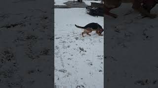 Ava's first snow fall