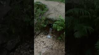 Osmotherly stream into the lake, water looks so clean from the hills