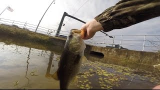 prespawn bass fishing