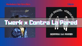 Twerk x Contra La Pared (MASHUP) Mambolosco ft. Boro Boro x Sean Paul