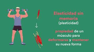 Video Musculos Tutorias FINAL