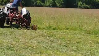 Cutting hay with Ford 960 and sickle mower