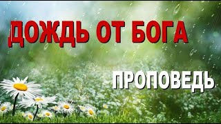 Дождь от Бога | Проповедь | Андрей Свирдан