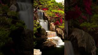 Beautiful Relaxing Music for Meditation and Yoga #meditationmusic #stressrelif #nature #relaxing