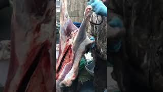 Skinning a big bodied lean chilled fallow buck