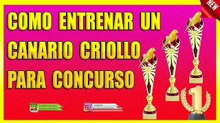 🏆LO QUE TIENES QUE HACER PARA  ENTRENAR TU CANARIO CRIOLLO 🏆