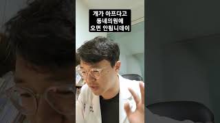 개 돼지 소 닭이 아프믄 동물병원 가는겁니데이 #강아지 #동물병원