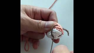 How to Embroider Tiger’s Paw