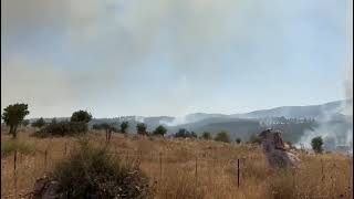 Fires in Northern Israel 12.6.24 - 4