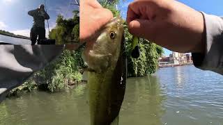 Fishing For Fall Largemouth BASS on the CHICAGO River | Kayak FISHING TIPS & Techniques