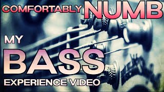 Comfortably NUMB (live in Pompeii 2016) | My Bass Experience Video