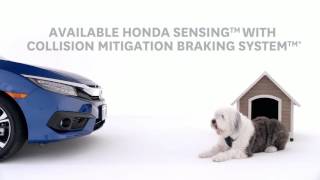 2016 Honda Civic  Collison Migitation Braking System™