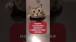 НЕ ПОДПИСАЛСЯ - БЕЗ ПИПИСЬКИ ОСТАЛСЯ #спорт #russianwolves