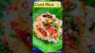 Quick & Tasty Prasadam Curd Rice Recipe || #healthy #tasty #recipe #ytshorts #trending #vlogs