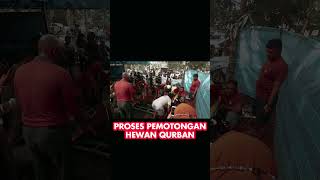 PROSES PEMOTONGAN HEWAN QURBAN #shorts