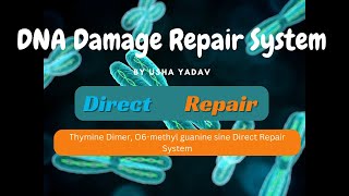 Thymine Dimer and O6-methyl guanine Direct DNA Repair System || Usha Yadav