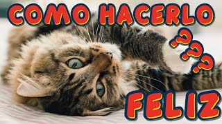 CÓMO ENTENDER LA PSICOLOGÍA DE TU GATO PARA QUE SEA FELIZ