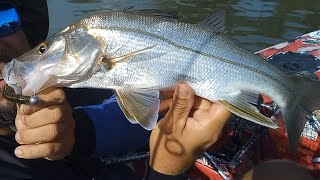 🔴 PESCARIA DE ROBALO Peva nas Galhadas - Pesca com Caiaque - Luan Oliveira #pescaesportiva #pescaria