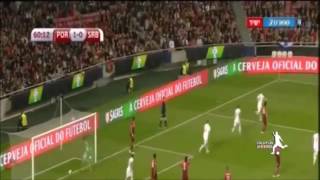 Nemanja Matic World Class goal vs Portugal