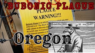 Bubonic Plague in Oregon USA Confirmed