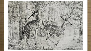 How To Draw Deer In A Forest Scenery : Step By Step Easy Drawing