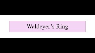 Waldeyer's Ring