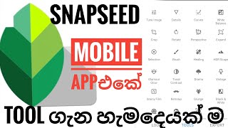 Snapseed Beginner Tutorial | Android and iPhone In sinhala