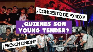 ¿Quienes son Young Tender? Video-Biografía