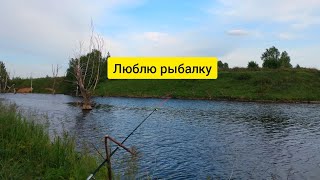 Люблю посидеть на берегу и половить рыбку | Рыбалка 2021 | Люблю рыбалку